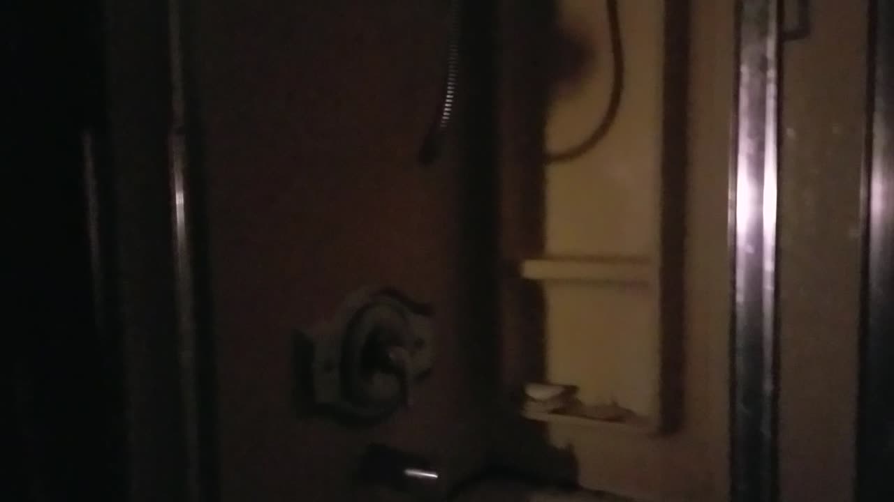 The Raging Predvidians and Barking Puppies at it Agian 😂😂