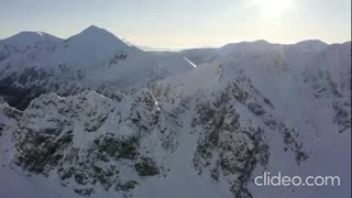 The Rebirth of Charles Hamilton - Dogs (VIDEO)