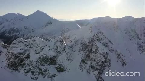 The Rebirth of Charles Hamilton - Dogs (VIDEO)