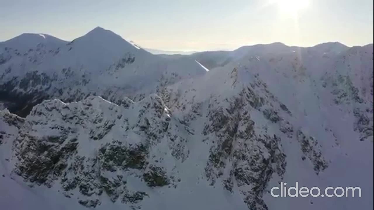 The Rebirth of Charles Hamilton - Dogs (VIDEO)