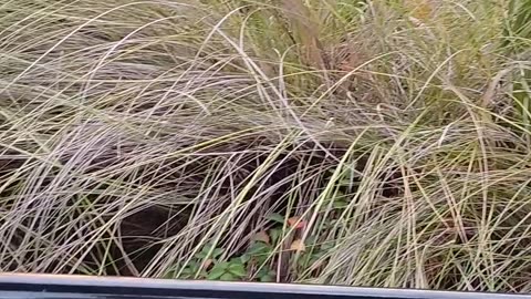 DARK TIMES ‼️SERIOUS TIMES ‼️ SOME MORE PROPHECIES TO COME ‼️