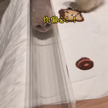 "Small Paws, Huge Cuteness: Baby Cat Moments" 🐱🌟