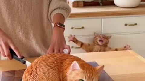 The cat was distressed to see the cake being cut, which resembled a cat.