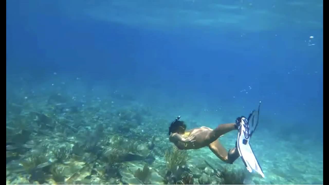 Mermaids of the Caribbean.#2