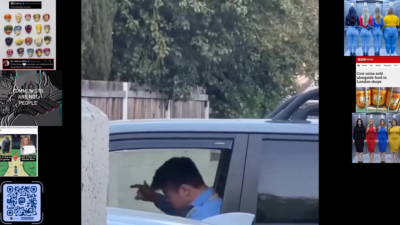 Monday Monkey Madness