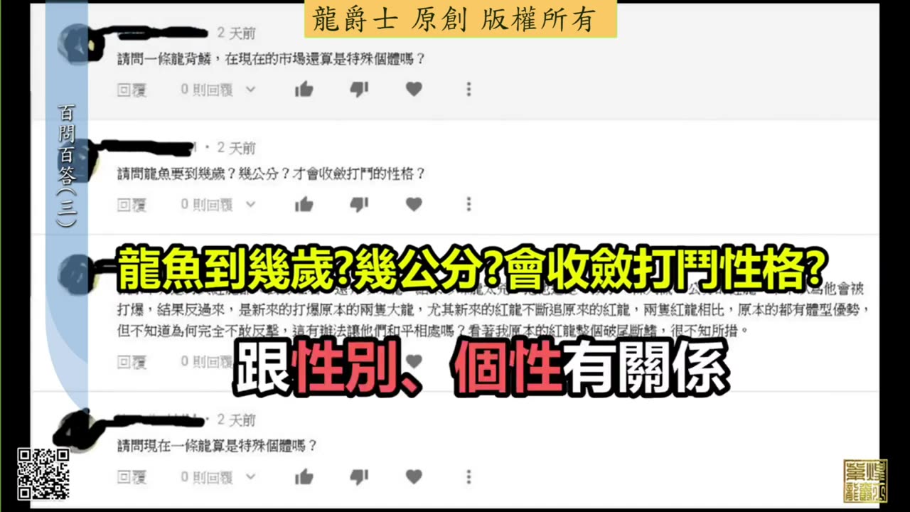 【龍爵士】千問千答 Q15 1一條龍算不算特殊個體Q15 2龍魚到幾歲幾公分會收斂打鬥性格Q15 3龍魚混養要怎麼和平相處