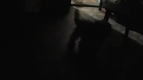 Comienzo del 2026 en Tacuarembó