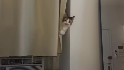 Mabel Does Not Want to Be Disturbed