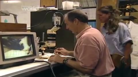 DETEKTYWI SĄDOWI 8 dokument pl