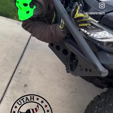 Creatures roam our cities