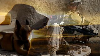 WAR DOGS: K-9 Warrior Tribute. Old and Wise ~ The Alan Parsons Project