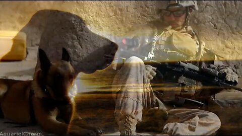 WAR DOGS: K-9 Warrior Tribute. Old and Wise ~ The Alan Parsons Project