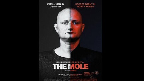 The Mole: Undercover in North Korea (2020)