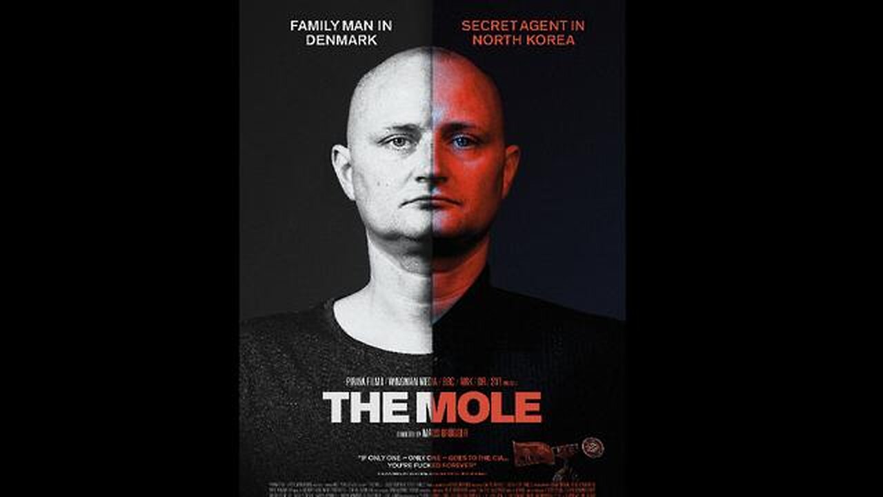 The Mole: Undercover in North Korea (2020)