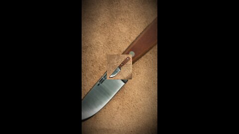 Adventure Jr. in NitroV