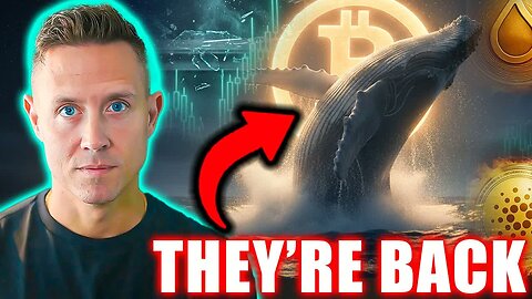 My TOP 4 ALTCOINS...Whales Are Buying Bitcoin Like NEVER Before (Charts Are Insane)