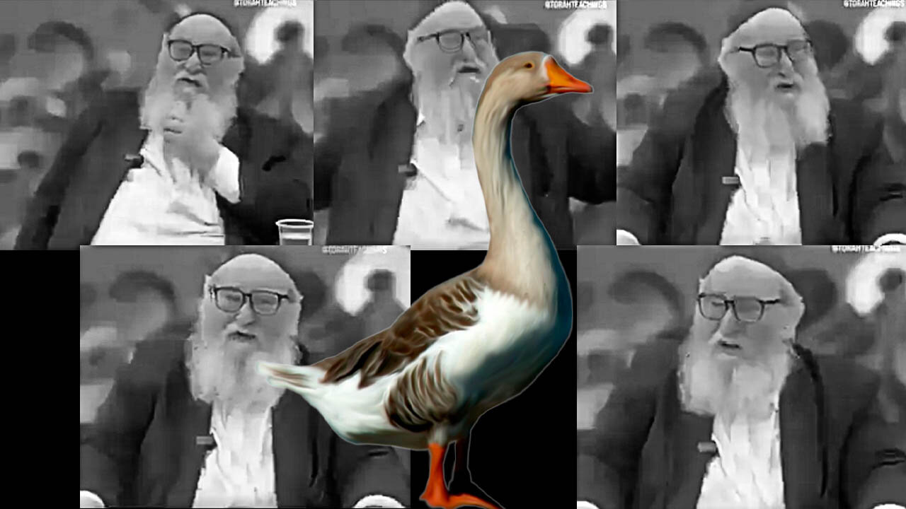 'We Don't Say Go and Be a Nice Guy'....Silly Goose!