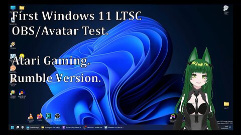 OBS And Avatar Retro Gaming On Windows 11 LTSC (1st Test) VTuber ** Strong Language!