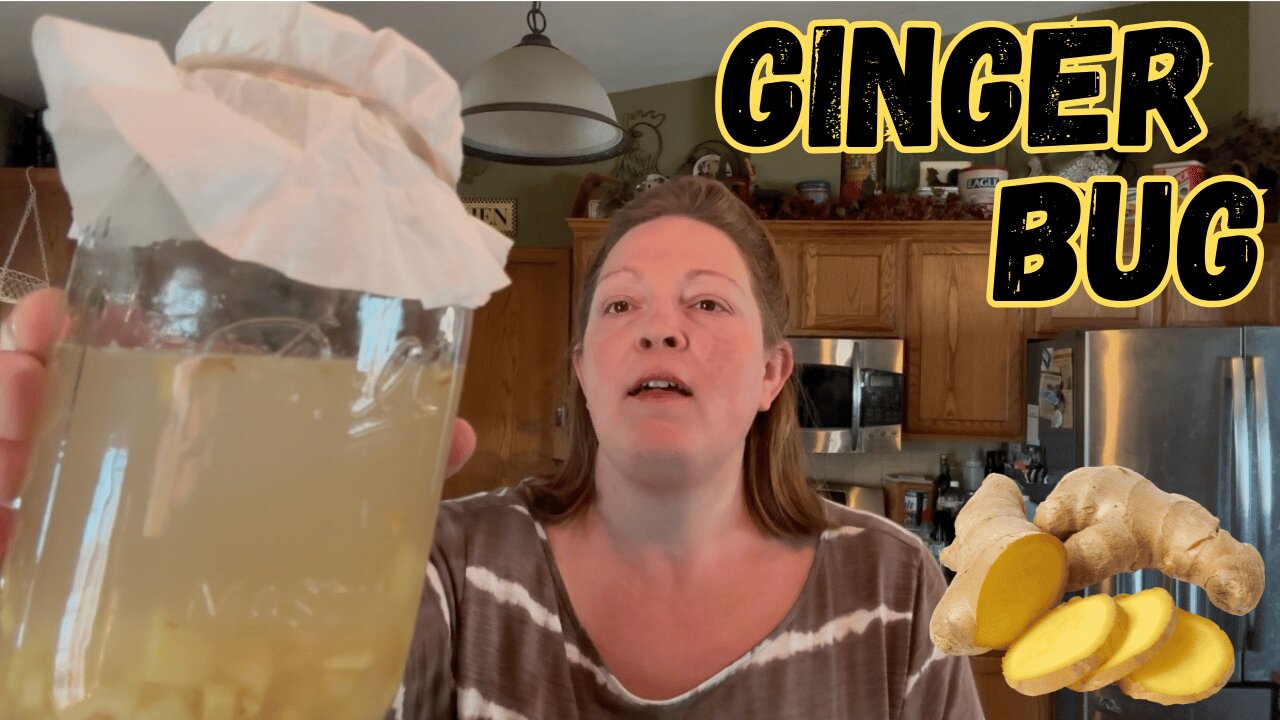 How to Make Your Own Ginger Bug at Home | Step-by-Step Guide #fermentedfebruary