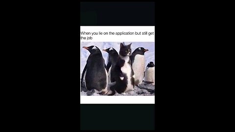 “When Life Gives You Funny Mood | Ultimate Meme Shorts”