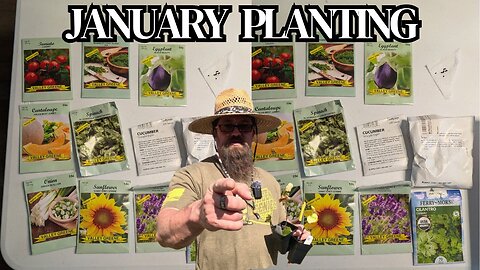 What are you planting in the garden in January?