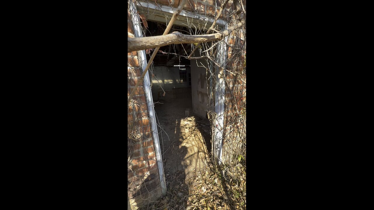 Exploring A Dark Building Hidden In The Forest