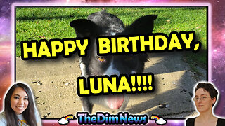TheDimNews LIVE: Federal Furloughs | Happy 4th Birthday, Luna!