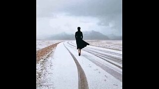 Spolok Archa, o.z. - 14.12.2025 - živá diskusia v Telegrame