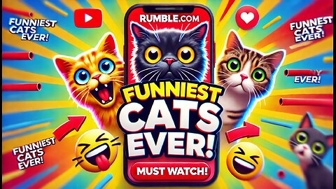 "Funniest Cats Ever! 😂 You Won't Stop Laughing! Must Watch!"