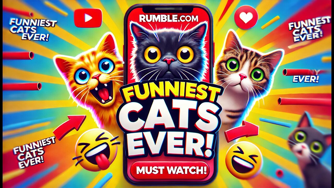 "Funniest Cats Ever! 😂 You Won't Stop Laughing! Must Watch!"