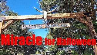 Dia de los Muertos brings Life