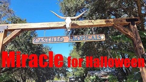 Dia de los Muertos brings Life