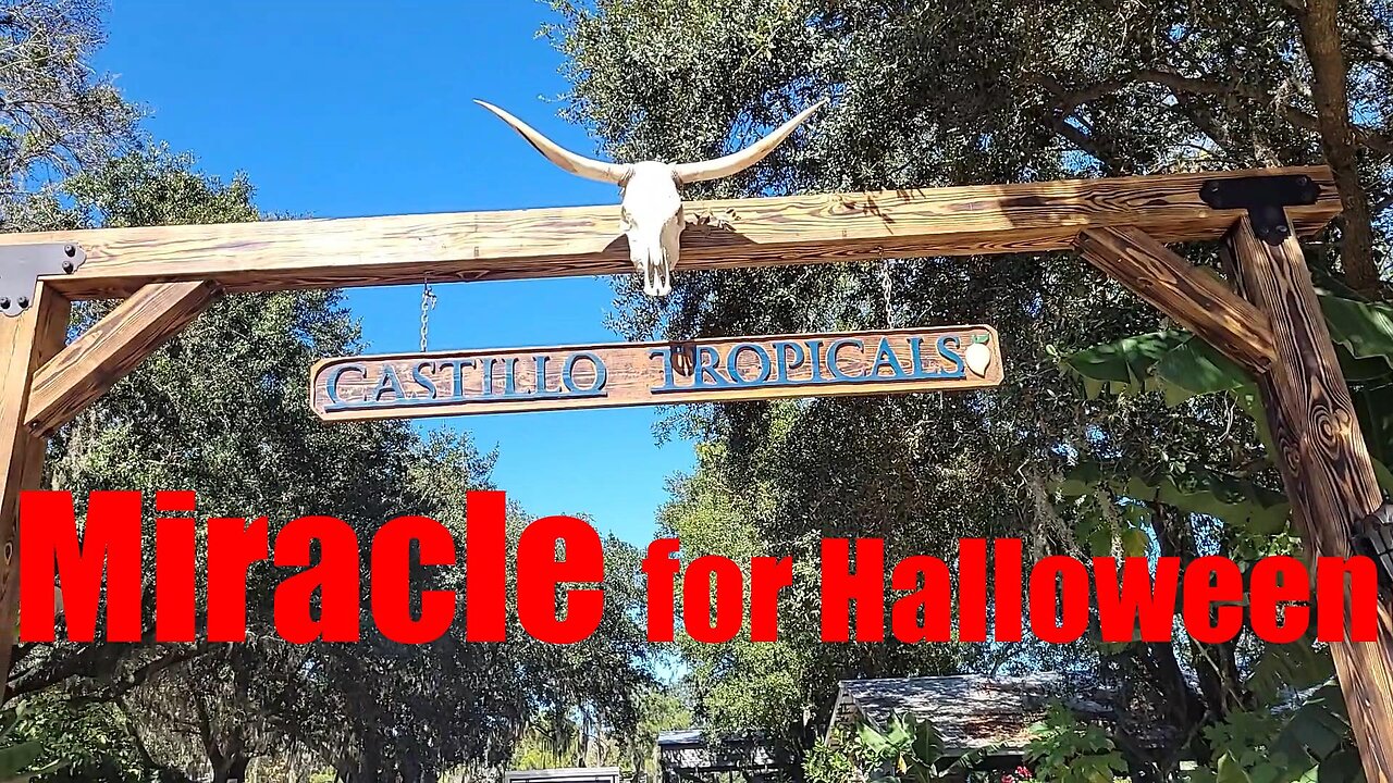 Dia de los Muertos brings Life