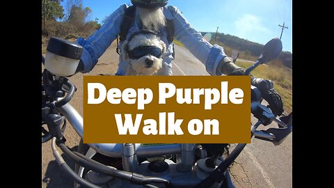 Deep Purple - Walk on