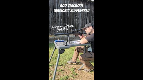Subsonic 300 Blackout Suppressed - Silly Quiet