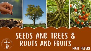Seeds and Trees & Roots and Fruits