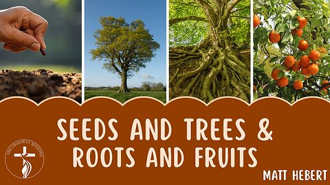 Seeds and Trees & Roots and Fruits