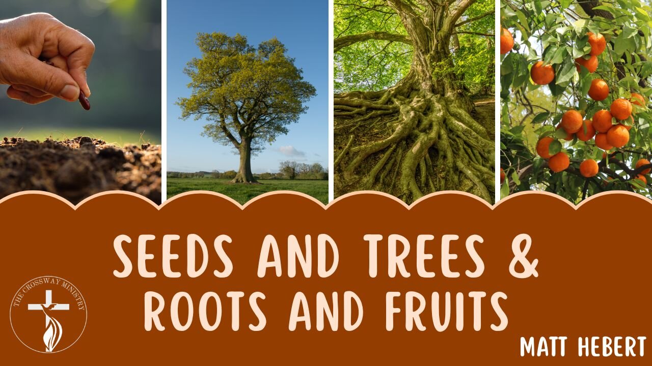 Seeds and Trees & Roots and Fruits