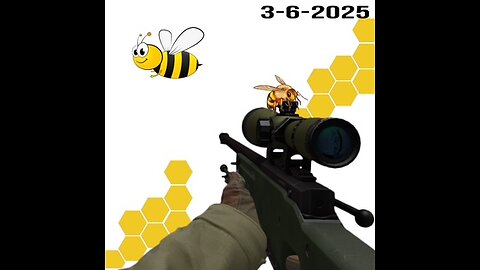 3-6-2025 Sniping the 🐝