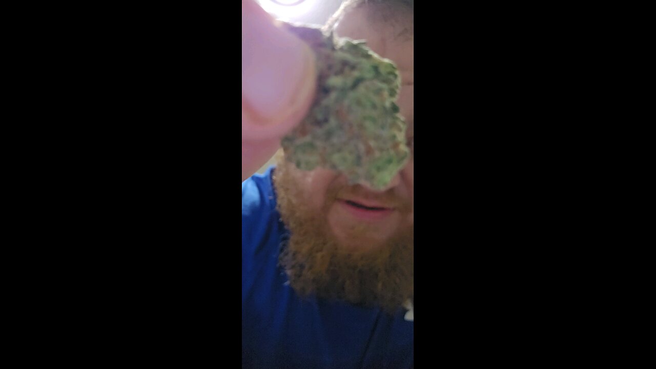 super lemon haze. ##cannabis