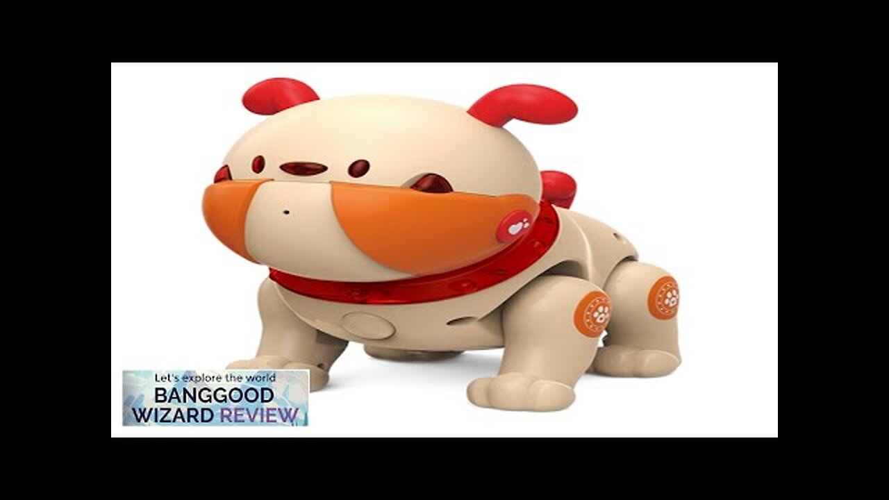 RC Robot Voice Recording Children Educational Robot Dog Touch Sensitive Interactive Toy Review