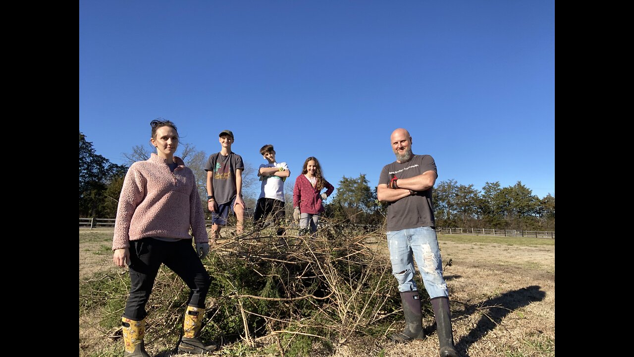 Clearing Fences