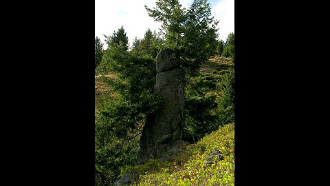#5. Mark Wisdom - Trail Camera Videos - Eastern Oregon.