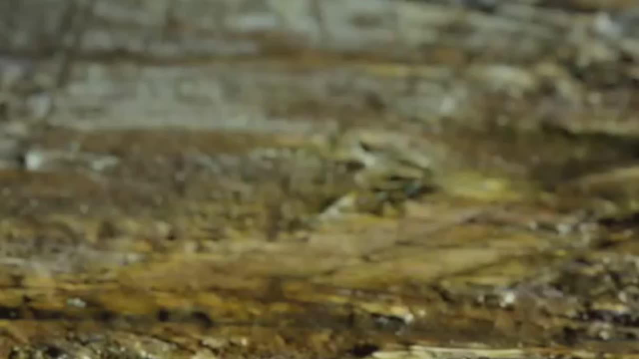 #CryptoInfrastructure #StablecoinSurge #InstitutionalCrypto #OnChainFinance #FintechRevolution