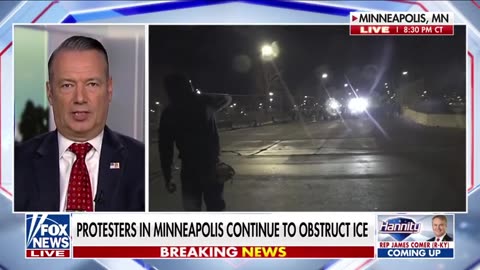 ICE and the FBI are currently investigating multiple organized groups and their members.