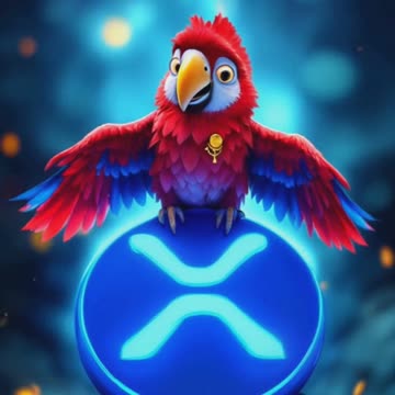 🎤🦜💸 Get ready to groove with ElCocco's XRP Crypto Rap! 💸🦜🎤