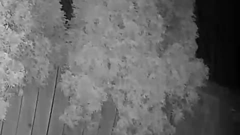 😱👻 You Won't Believe This Strange Light in Backyard! | TheHauntingHour