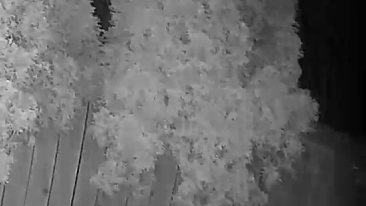 😱👻 You Won't Believe This Strange Light in Backyard! | TheHauntingHour