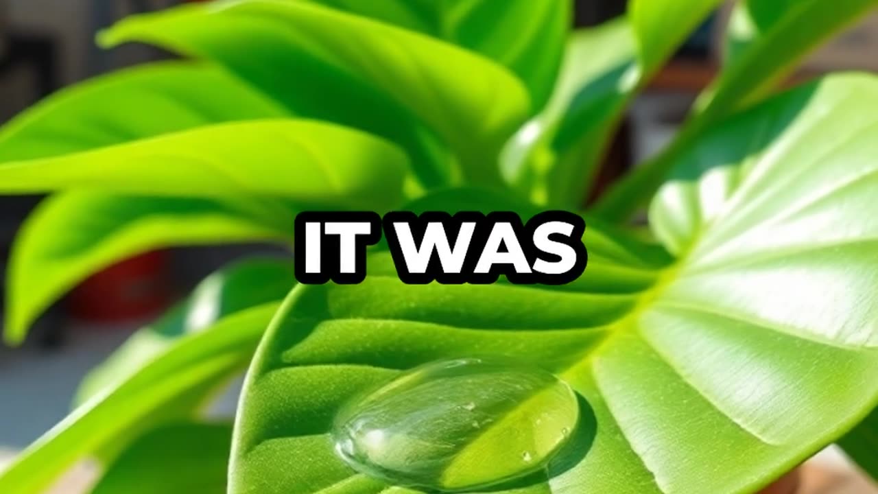 Engaging & Inspiring/Funny Video 9/29/2025