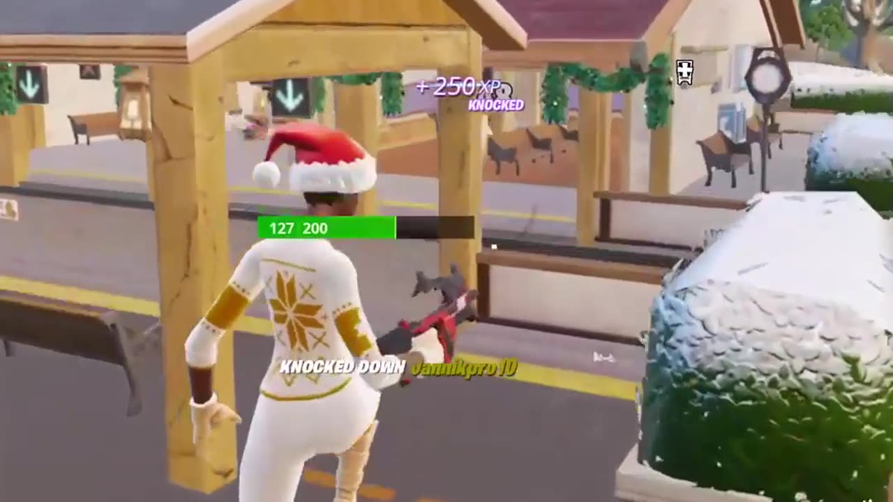 Fortnite Unexpected Victory!